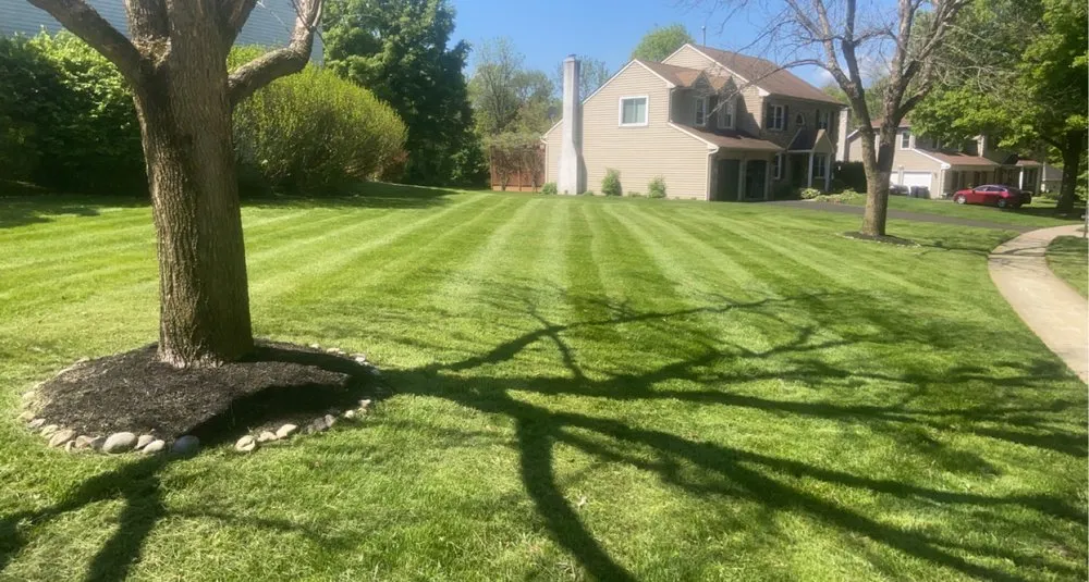 Top-rated yard maintenance for residential properties across Reading, PA - E&Z Lawncare
