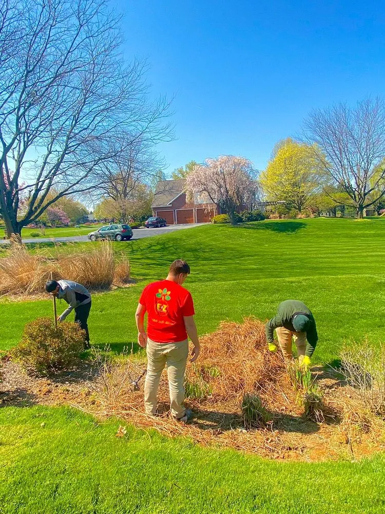 Top-rated yard cleanup service for beautiful yards across Reading, PA - E&Z Lawncare