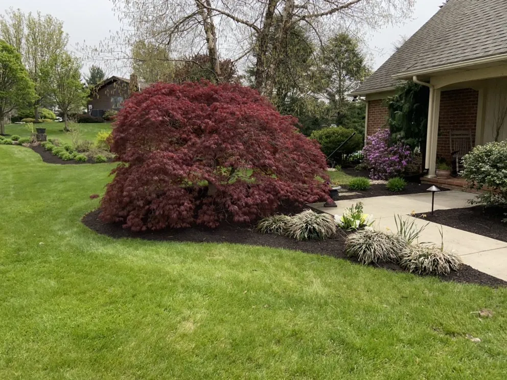Reliable yard maintenance experts serving Reading, PA - E&Z Lawncare