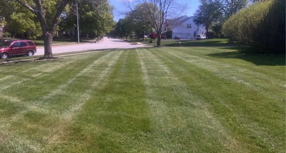 Professional yard cleanup service in Reading, PA by E&Z Lawncare