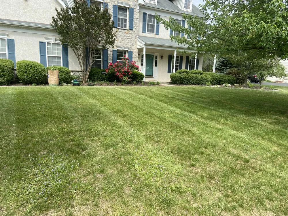 Reliable yard maintenance experts serving Reading, PA - E&Z Lawncare