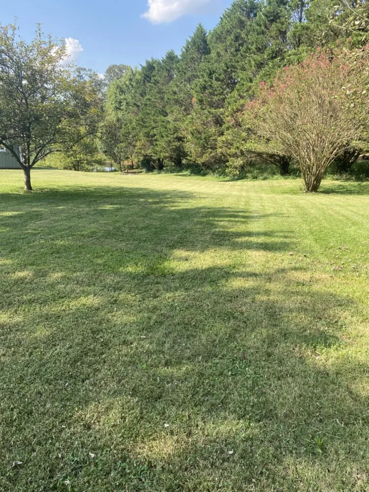 Custom landscape design in Westminster, SC - Ez Living Services