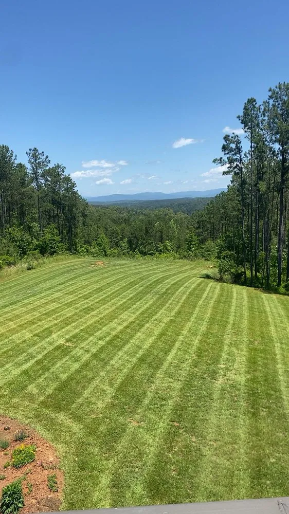 Affordable yard maintenance near you in Westminster, SC by Ez Living Services