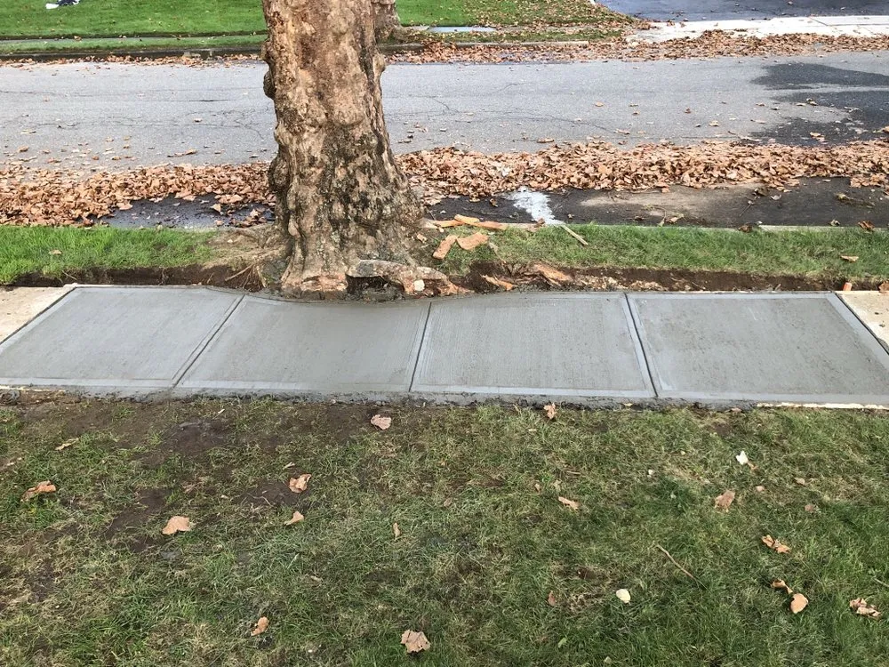 Local yard cleanup service near you across Ronkonkoma, NY - EZ Mason and Concrete