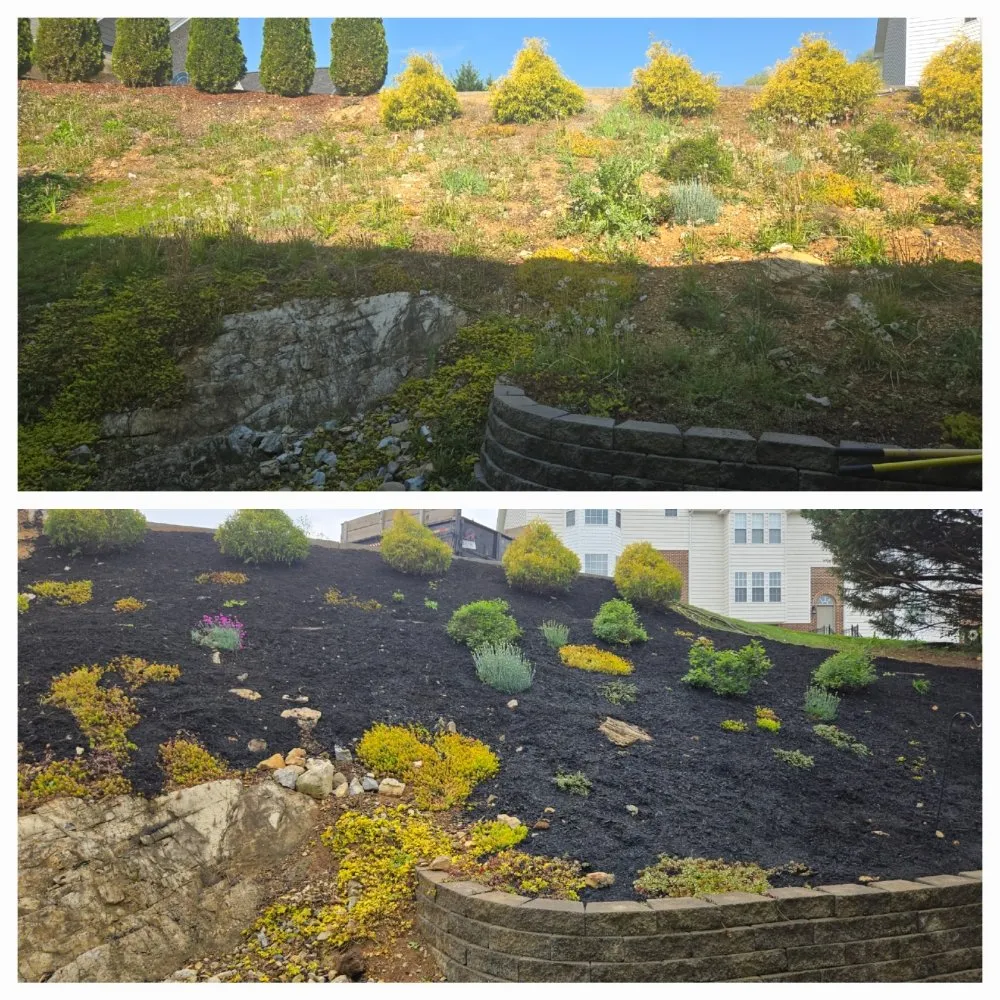 Affordable landscape installation for beautiful yards across Johnson City, TN - EZ Mowing and Property Maintenance