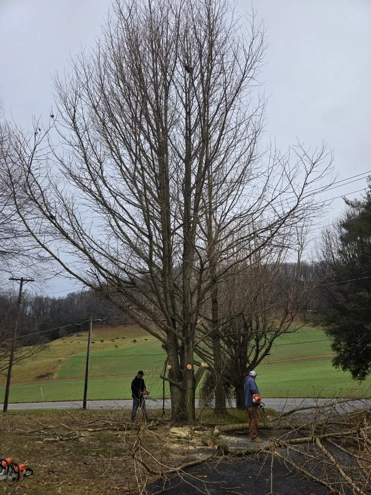 Professional garden landscaping in Johnson City, TN by EZ Mowing and Property Maintenance