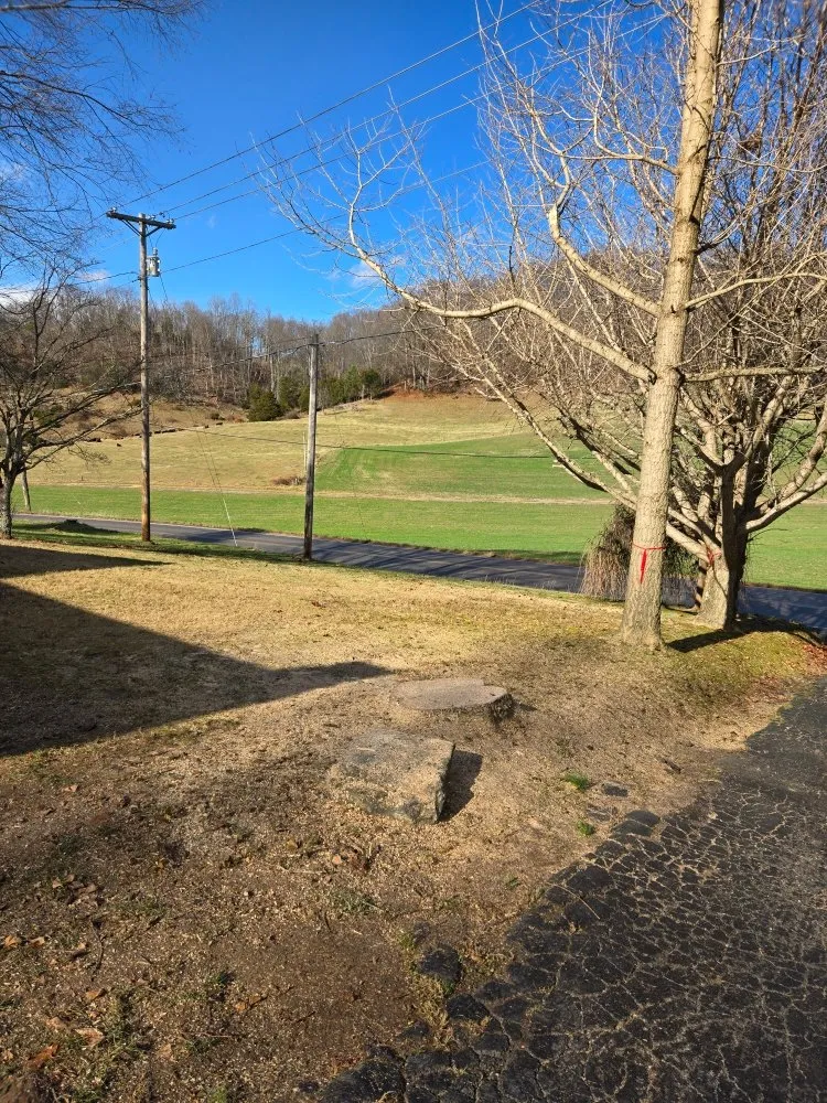 Local landscaping services in Johnson City, TN - EZ Mowing and Property Maintenance