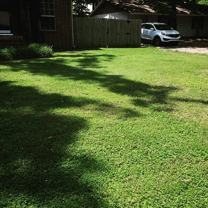 Local yard maintenance in Jacksonville, AR by EZ Mowing