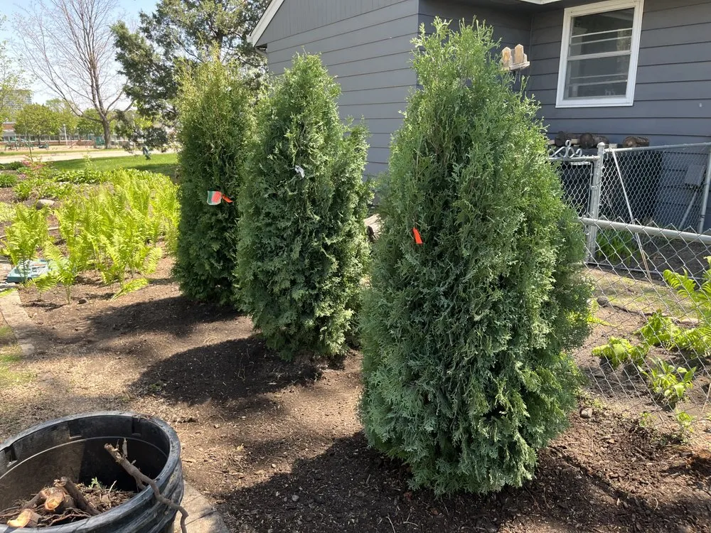 Expert lawn mowing service for residential properties in Minneapolis, MN by EZ Outdoor Services