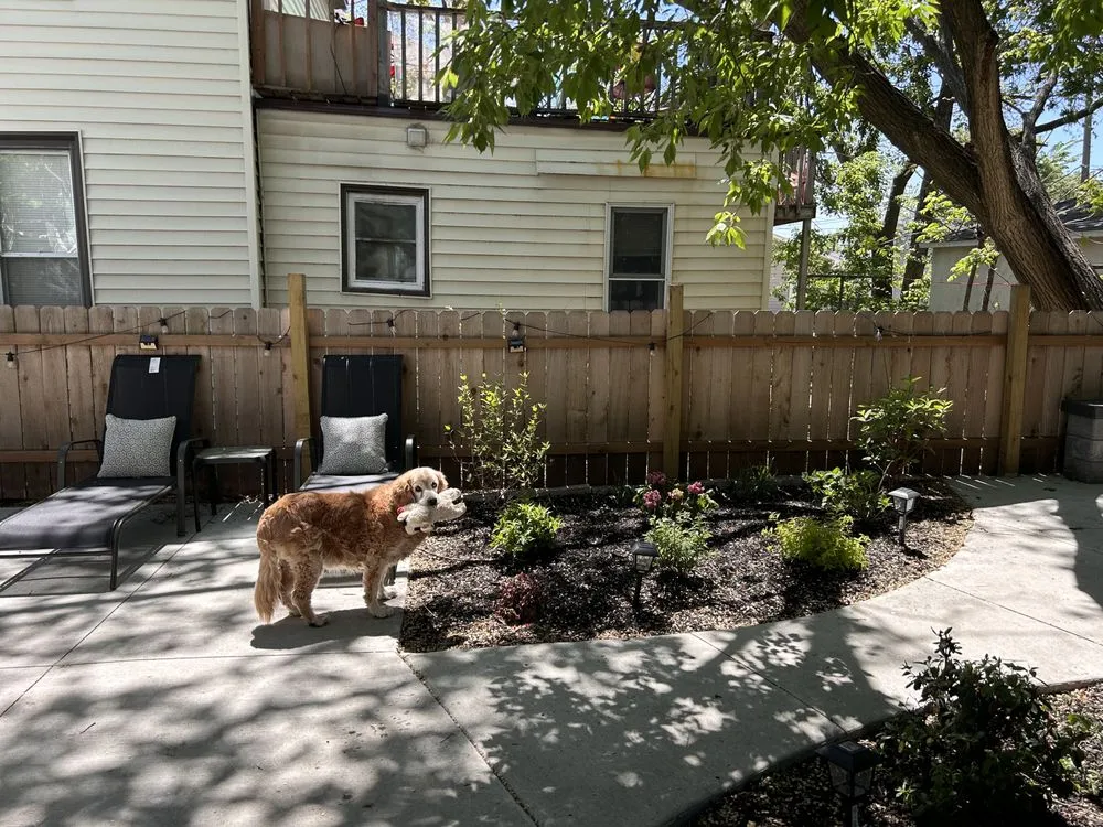 Affordable lawn mowing service in Minneapolis, MN by EZ Outdoor Services