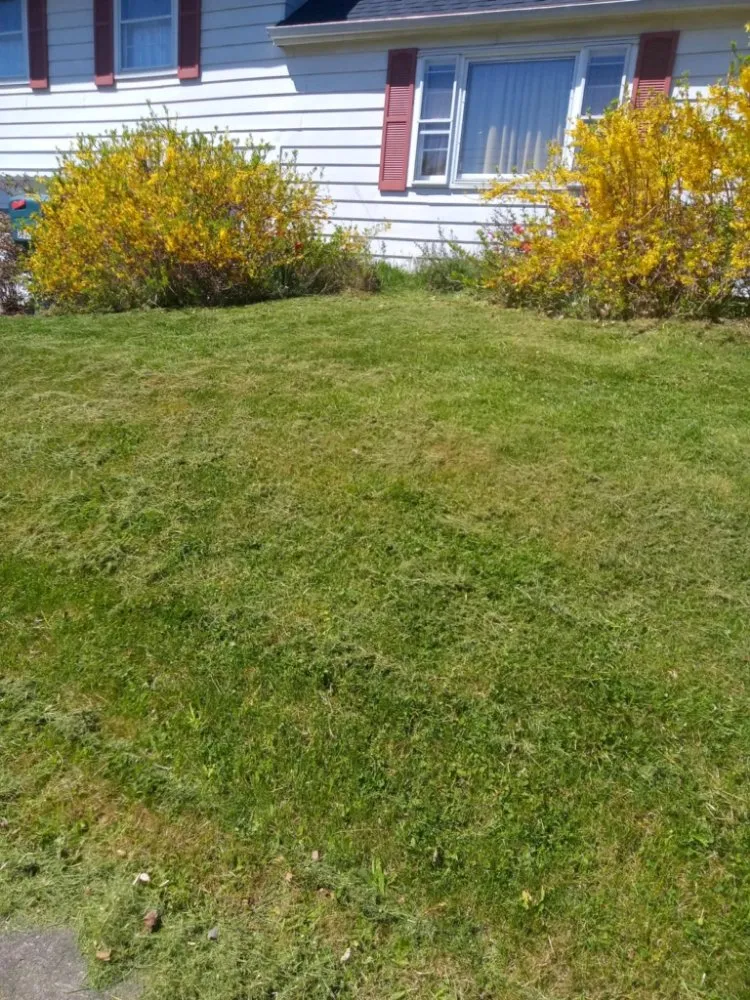 Professional yard cleanup service experts serving Hallstead, PA - EZ-PZ Lawn Care