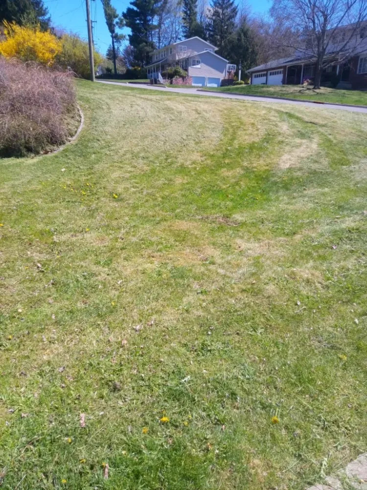 Expert landscaping services for homes across Hallstead, PA - EZ-PZ Lawn Care