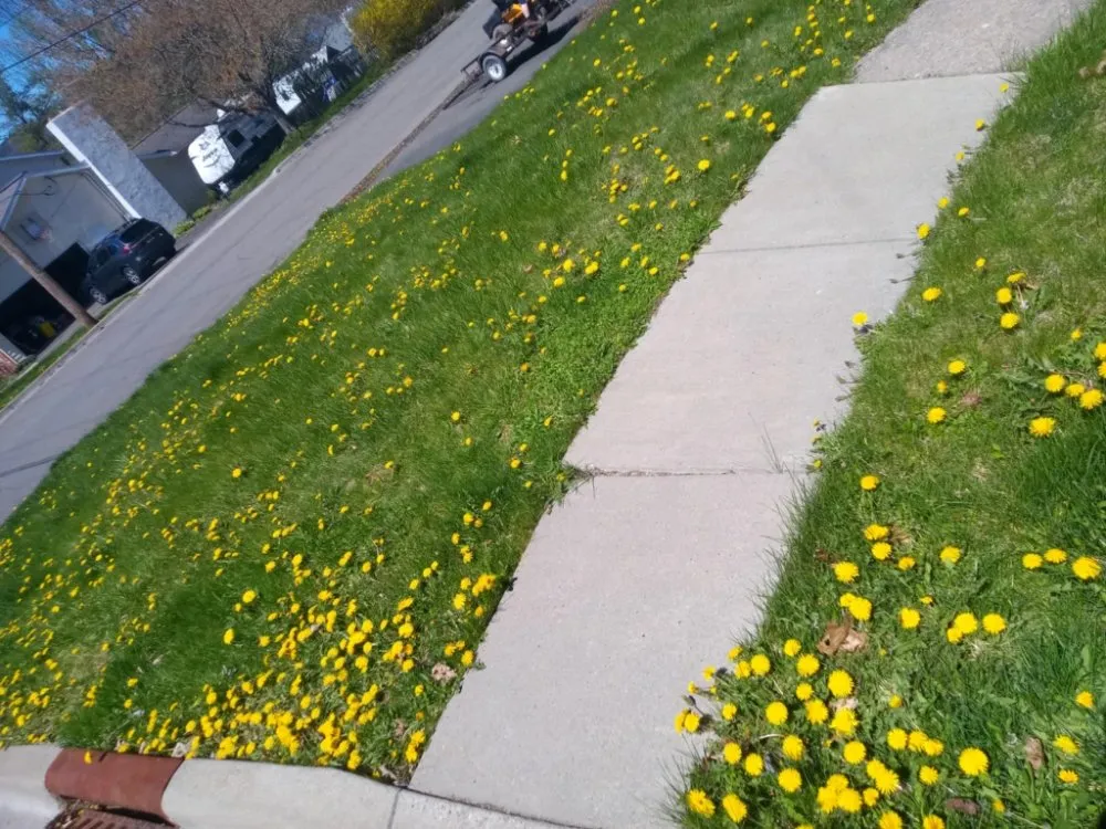 Top-rated lawn mowing service in Hallstead, PA - EZ-PZ Lawn Care