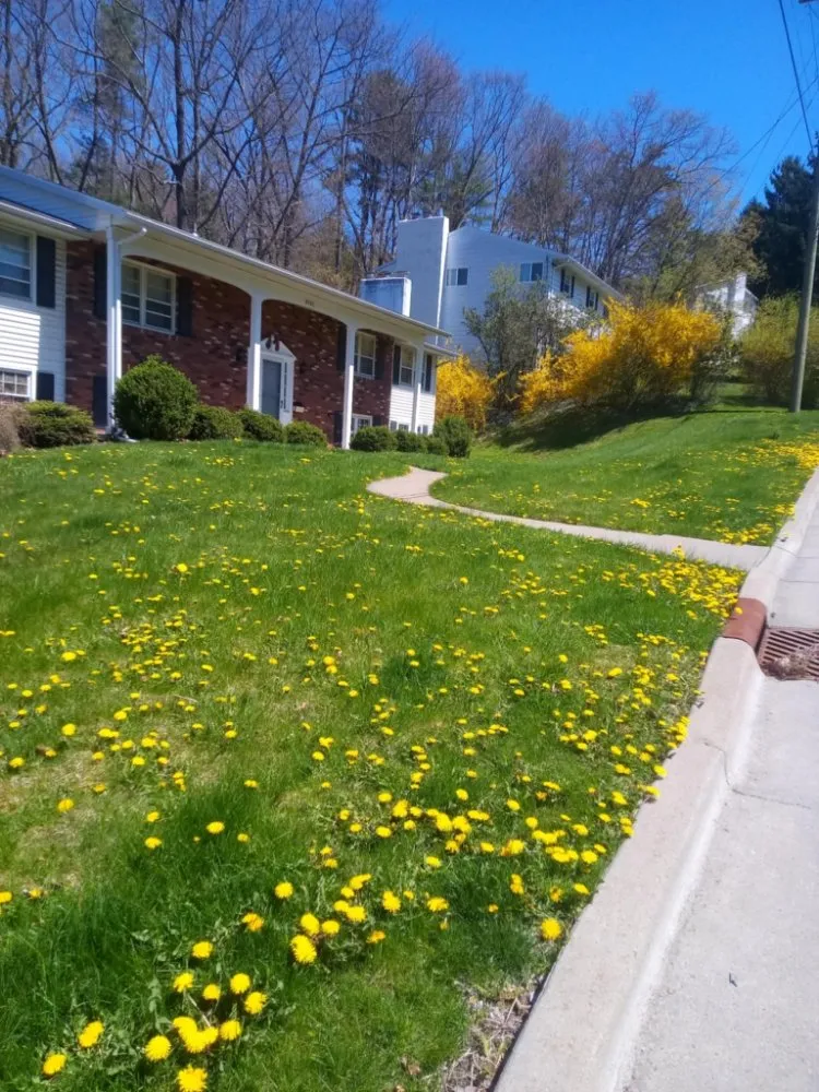 Reliable landscape design for year-round maintenance across Hallstead, PA - EZ-PZ Lawn Care