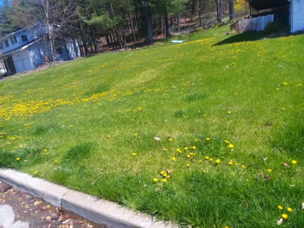 Reliable landscape installation in Hallstead, PA - EZ-PZ Lawn Care