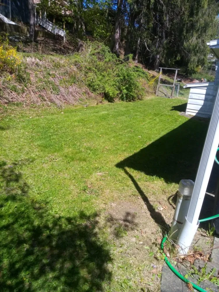 Top-rated landscaping services experts serving Hallstead, PA - EZ-PZ Lawn Care