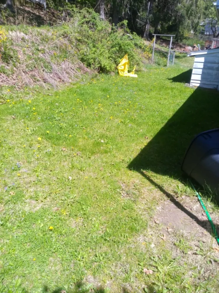 Affordable yard maintenance in Hallstead, PA by EZ-PZ Lawn Care
