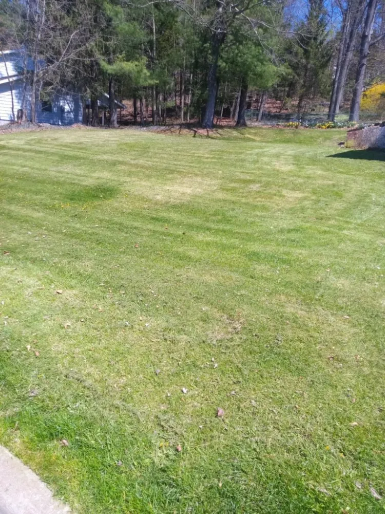 Professional yard cleanup service for beautiful yards in Hallstead, PA by EZ-PZ Lawn Care