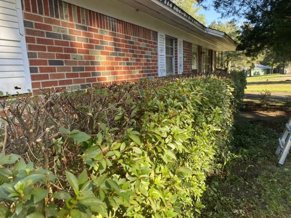 Professional yard maintenance experts serving Argyle, FL - EZ Restorations