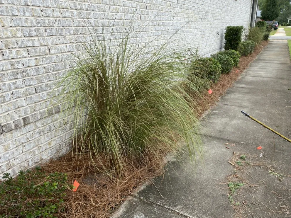Professional garden landscaping experts serving Argyle, FL - EZ Restorations