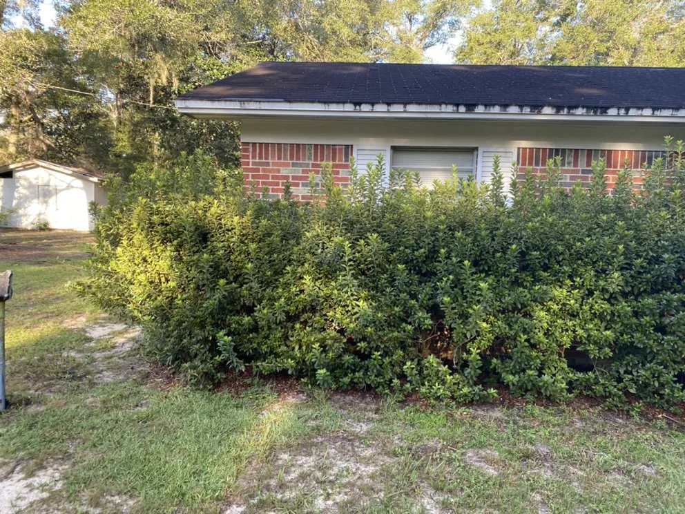Trusted lawn mowing service near you in Argyle, FL by EZ Restorations