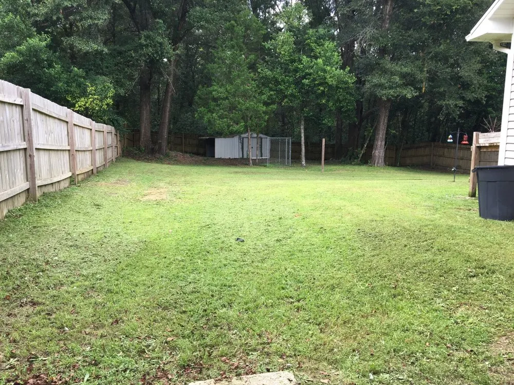 Top-rated yard cleanup service for homes in Argyle, FL by EZ Restorations