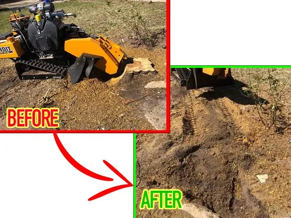 Trusted yard maintenance in Tysons, VA - EZ Stump