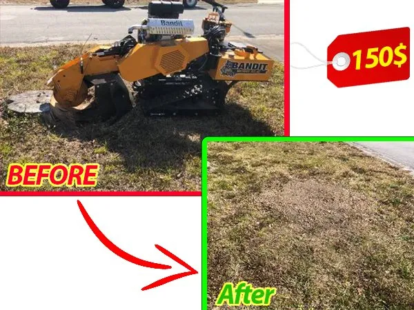 Top-rated yard maintenance experts serving Tysons, VA - EZ Stump