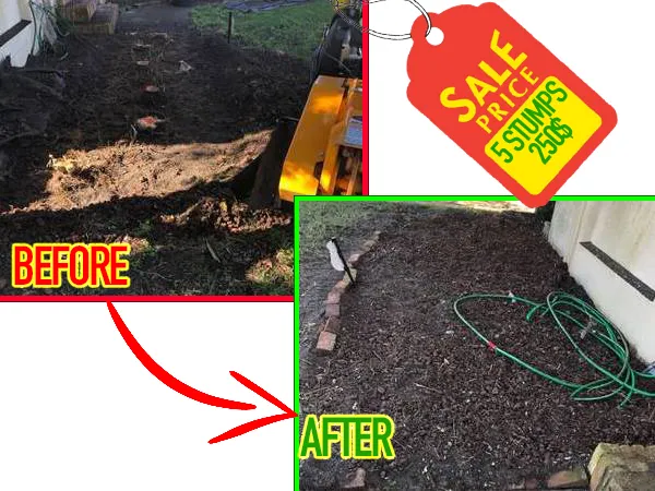 Affordable residential landscaping in Tysons, VA by EZ Stump