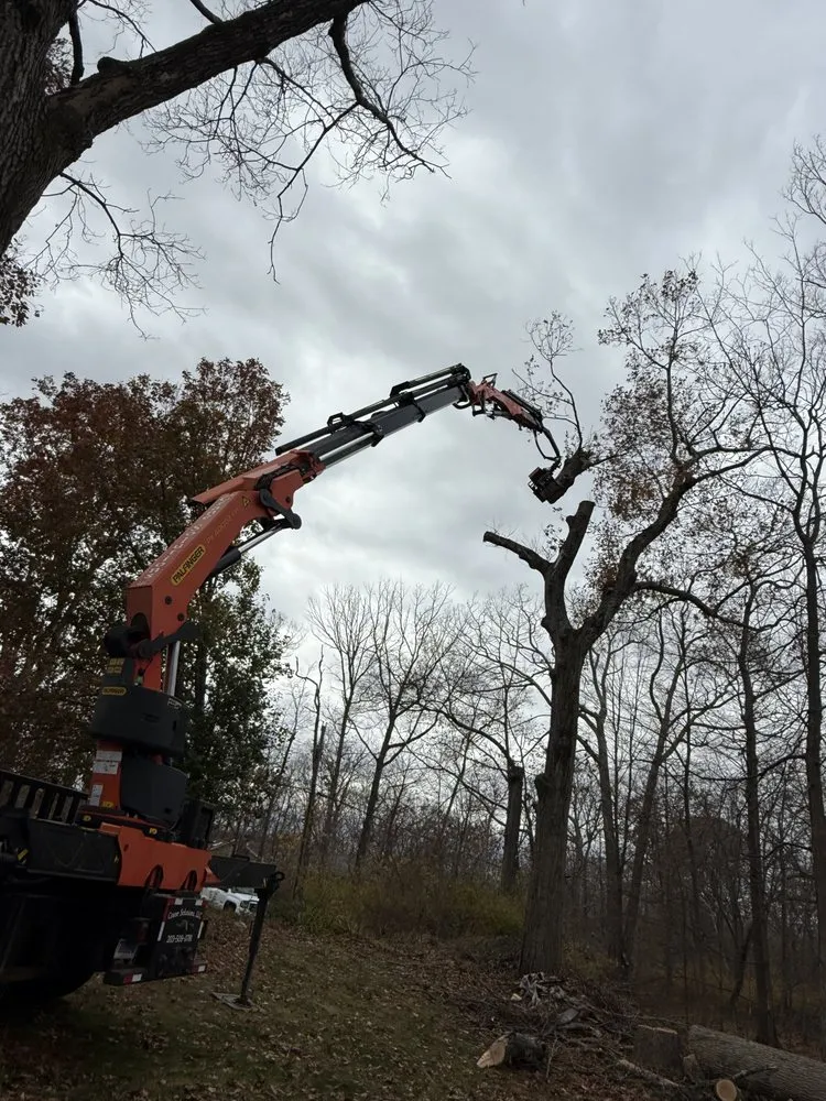 Top-rated yard cleanup service in Hopewell Junction, NY by EZ Tree