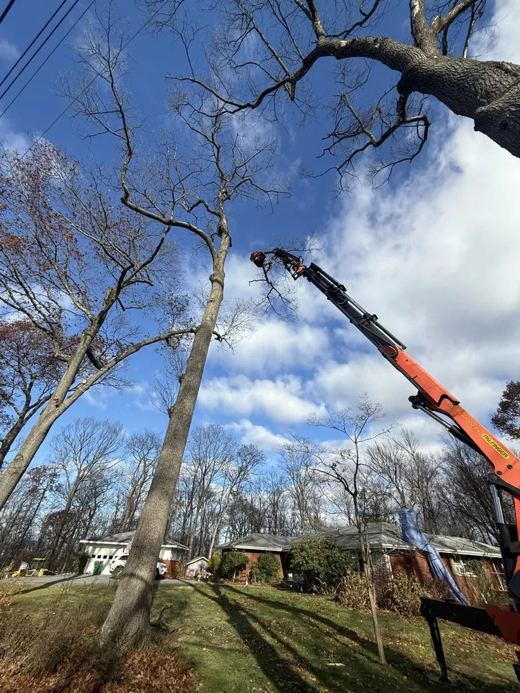 Expert landscape design for year-round maintenance across Hopewell Junction, NY - EZ Tree