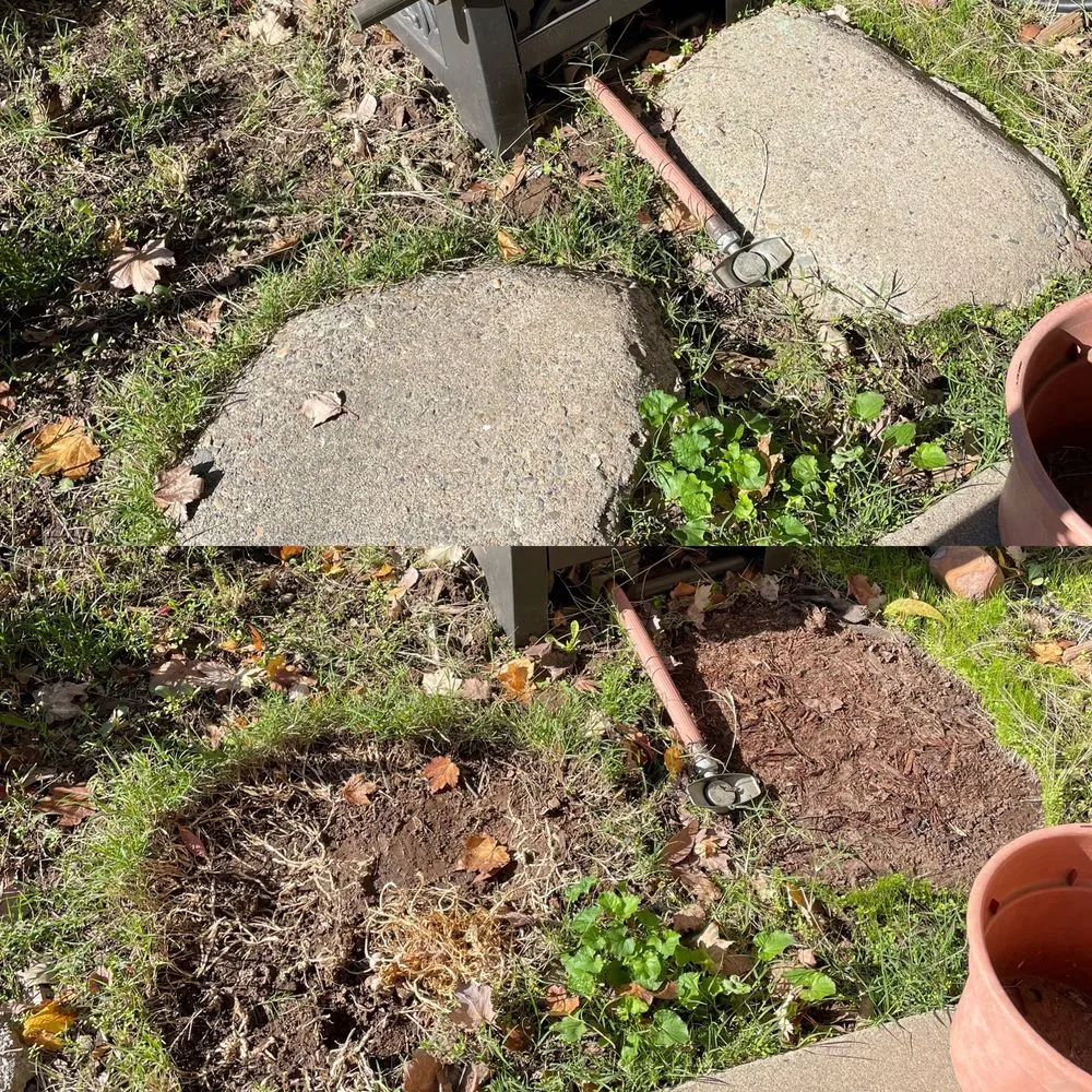 Reliable outdoor landscaping for residential properties in Sacramento, CA by Ez Unlimited Labor And Hauling