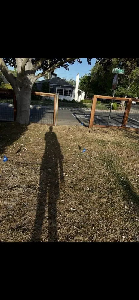 Reliable yard maintenance in Sacramento, CA - Ez Unlimited Labor And Hauling