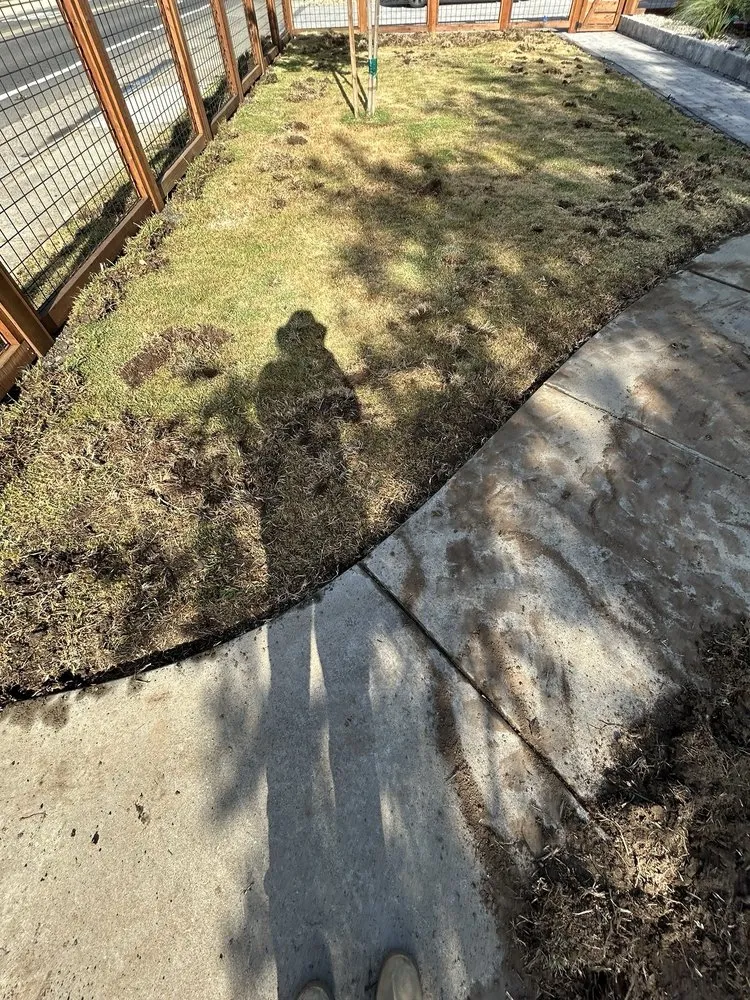 Professional lawn mowing service for outdoor upgrades across Sacramento, CA - Ez Unlimited Labor And Hauling