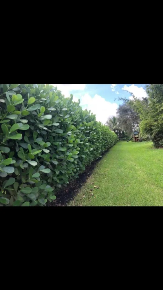 Reliable residential landscaping in Miami, FL by EZ YARDS