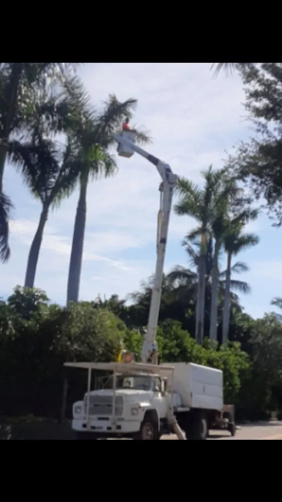 Top-rated landscape design experts serving Miami, FL - EZ YARDS