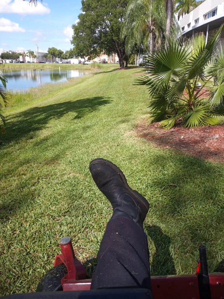 Trusted lawn care service for residential properties in Miami, FL by EZ YARDS