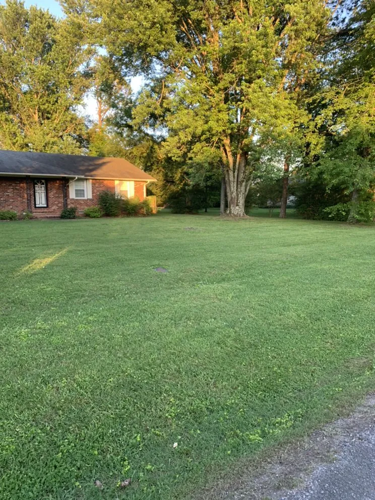 Top-rated lawn care service for year-round maintenance in La Vergne, TN by EZ4U Mowing