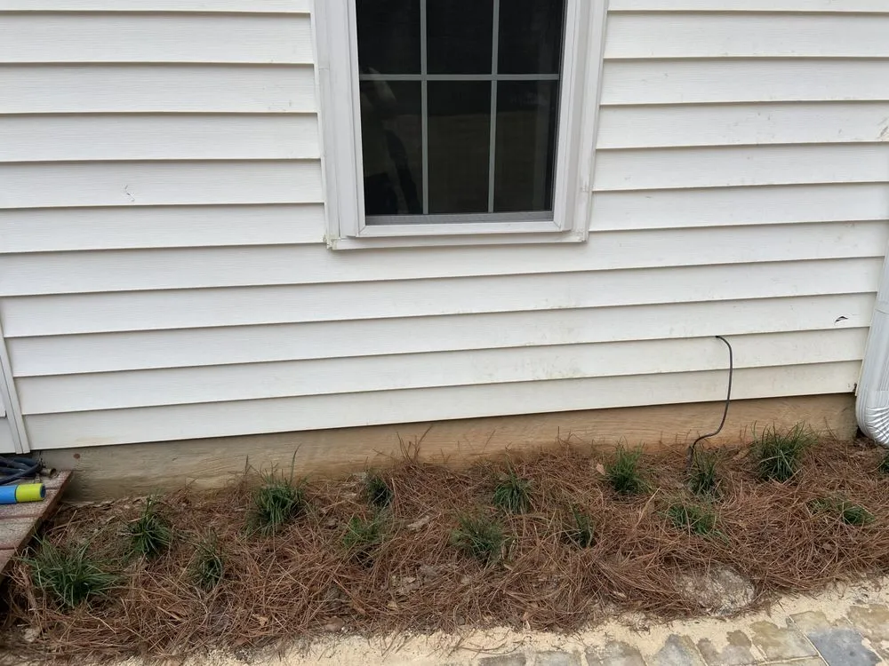 Expert lawn mowing service in Newnan, GA - Ezduzit