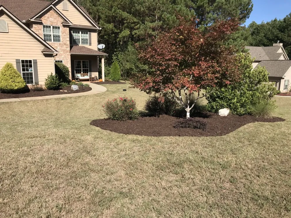 Expert outdoor landscaping experts serving Newnan, GA - Ezduzit