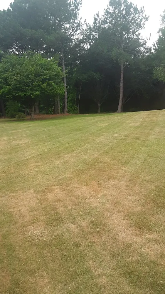 Local yard cleanup service in Newnan, GA - Ezduzit