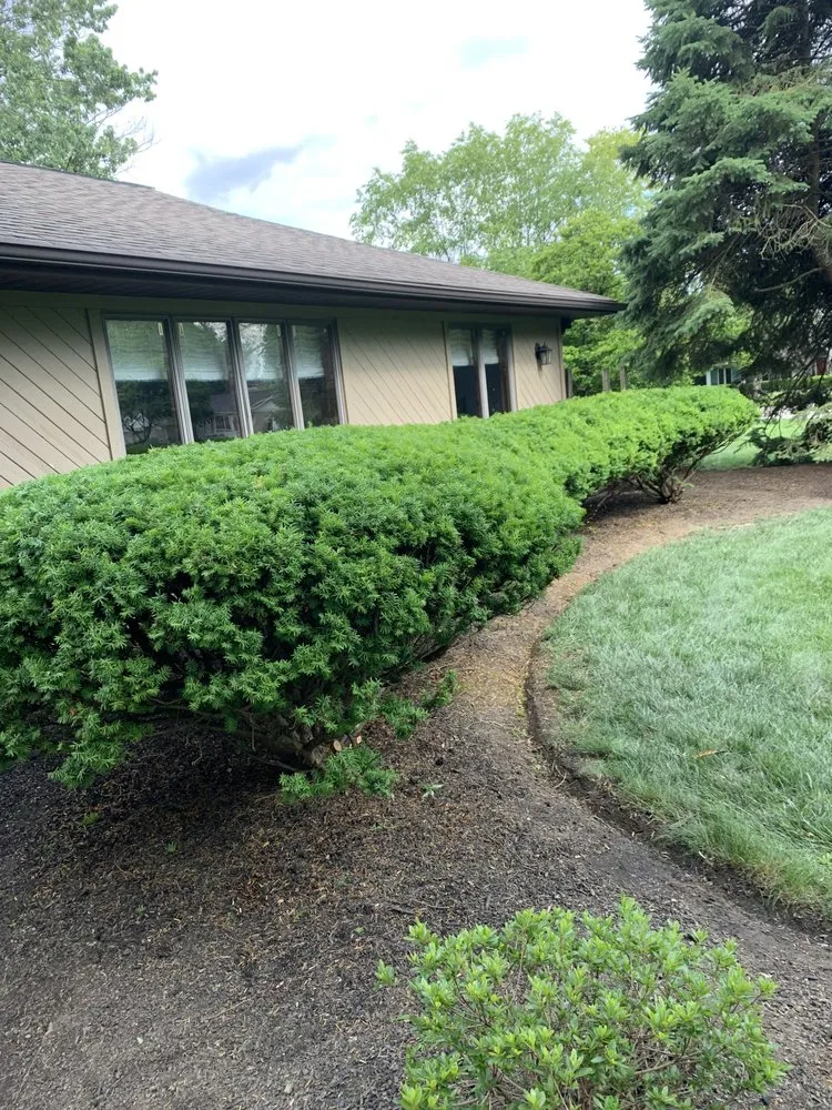 Local lawn care service experts serving Columbus, OH - EZE lawnscape