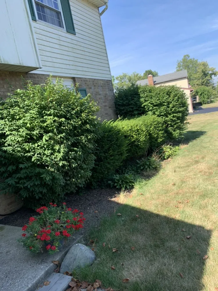 Custom yard maintenance with custom design across Columbus, OH - EZE lawnscape