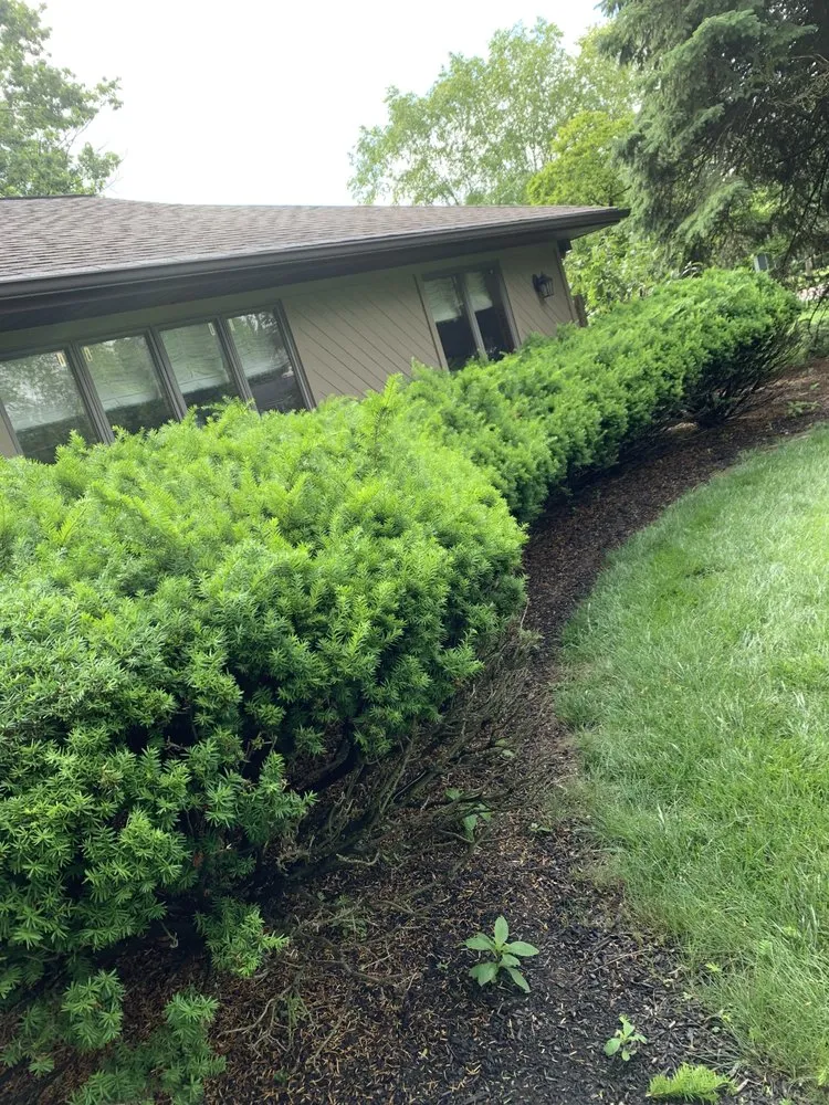Affordable landscape installation experts serving Columbus, OH - EZE lawnscape