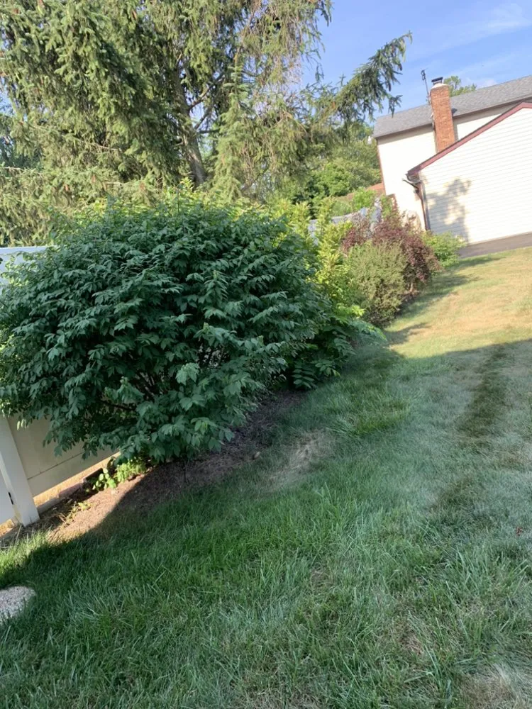 Reliable landscaping services in Columbus, OH - EZE lawnscape