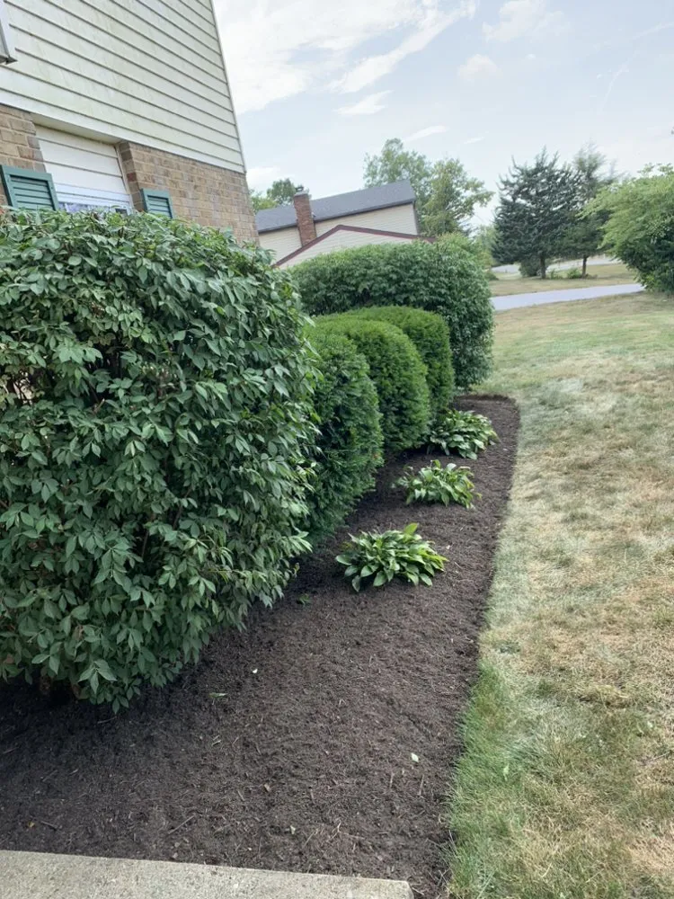 Professional lawn care service near you in Columbus, OH by EZE lawnscape