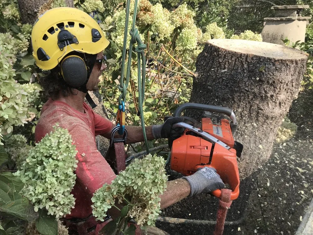 Trusted yard maintenance for beautiful yards across Novato, CA - Ezekiel’s Landscaping