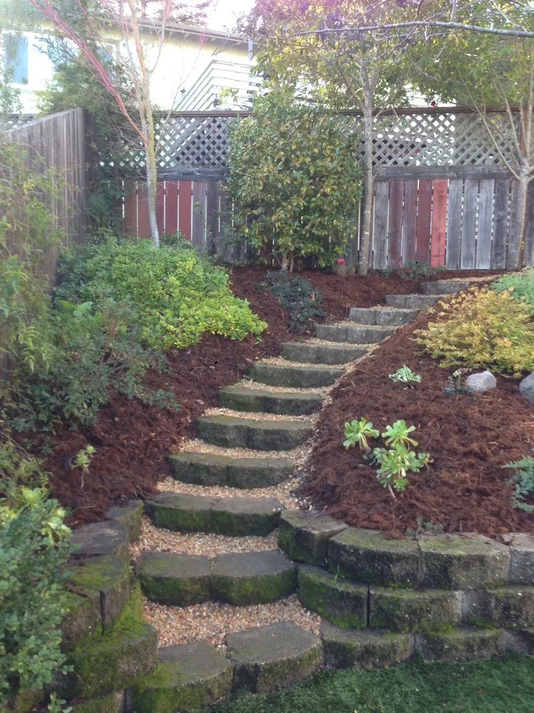 Professional yard maintenance in Novato, CA by Ezekiel’s Landscaping