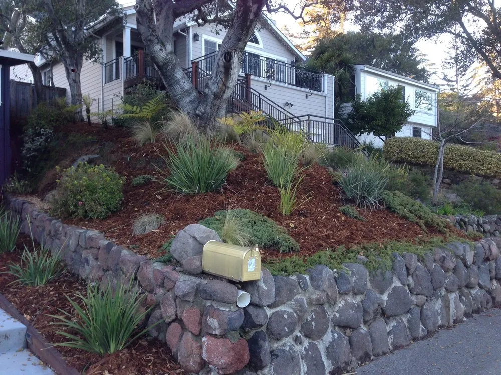 Trusted yard cleanup service in Novato, CA - Ezekiel’s Landscaping