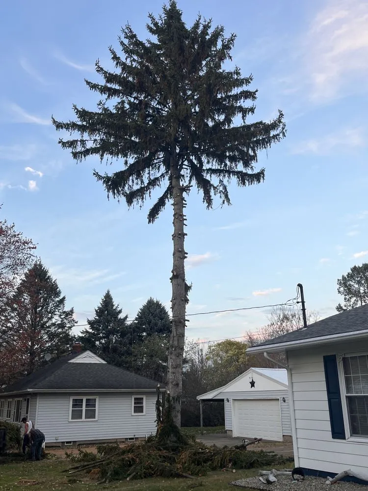 Affordable lawn care service in Ashtabula, OH by Ezekiel’s Tree’s & Landscapes